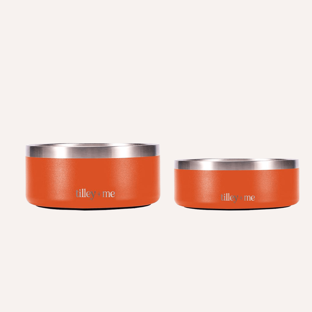Tilley + Me Stainless Steel Pet Bowl – Non-Slip, Durable & Dishwasher Safe | 32oz and 64oz - OVERLANDERS Outfitter