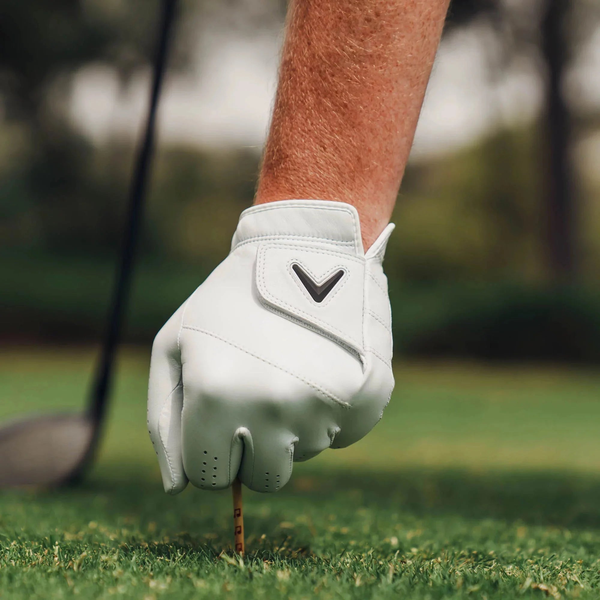 Callaway 2025 Tour Authentic Golf Glove - OVERLANDERS Outfitter