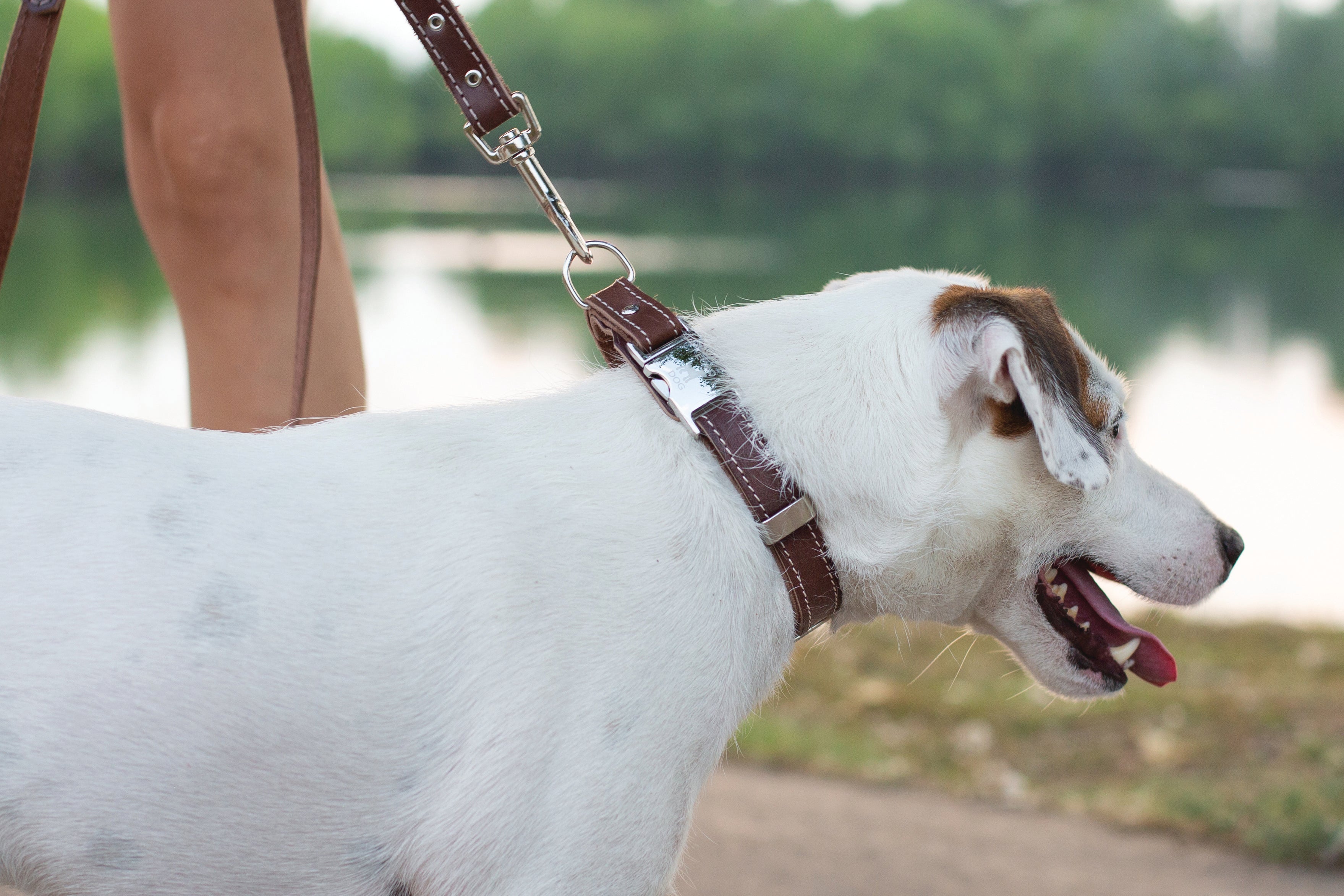 Pro Line Hunting Chocolate Leather Leash - OVERLANDERS Outfitter