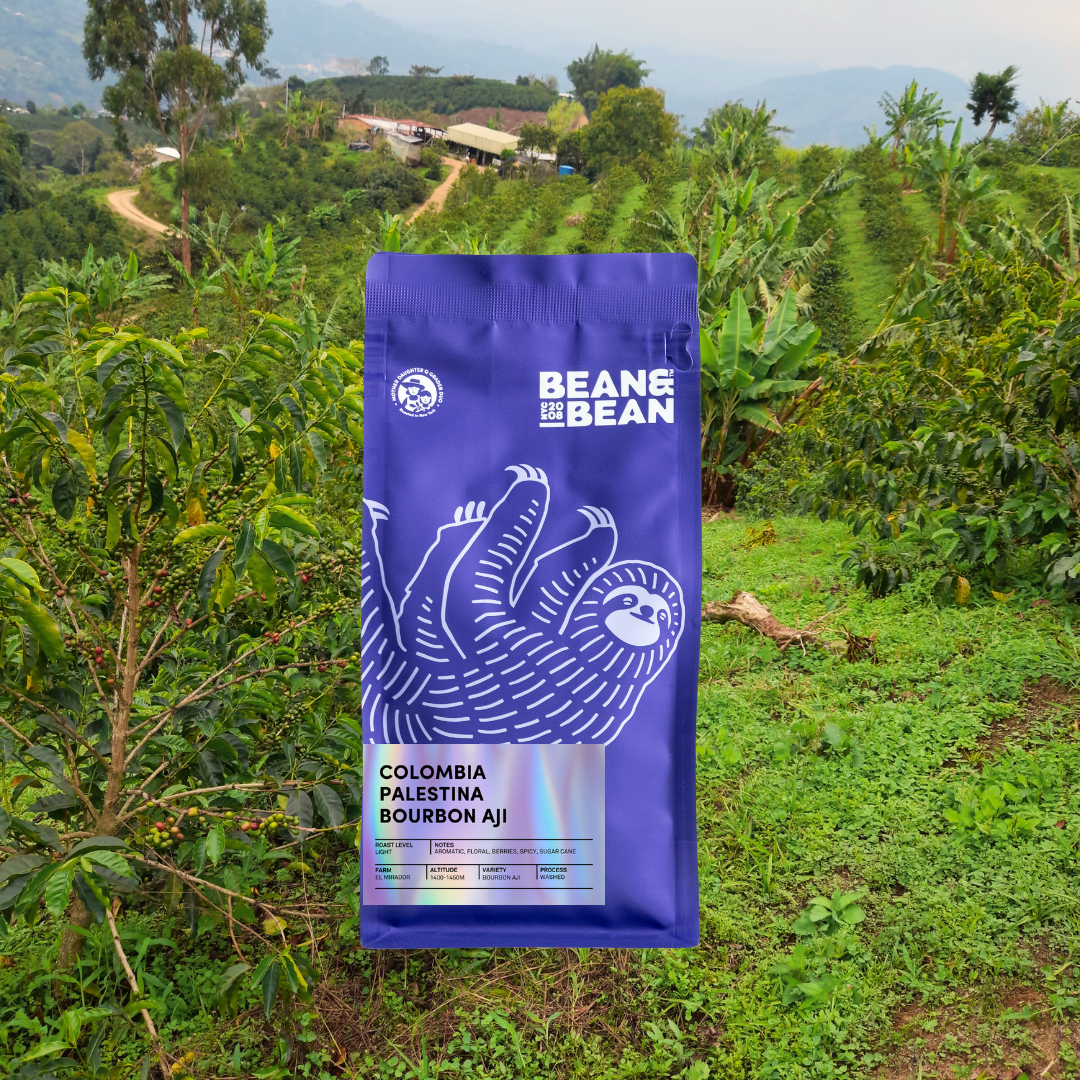 Colombia Palestina Bourbon Aji - We The Collective