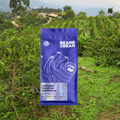 Colombia Palestina Bourbon Aji - OVERLANDERS Outfitter