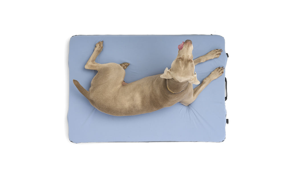 HEST Dog Bed - OVERLANDERS Outfitter