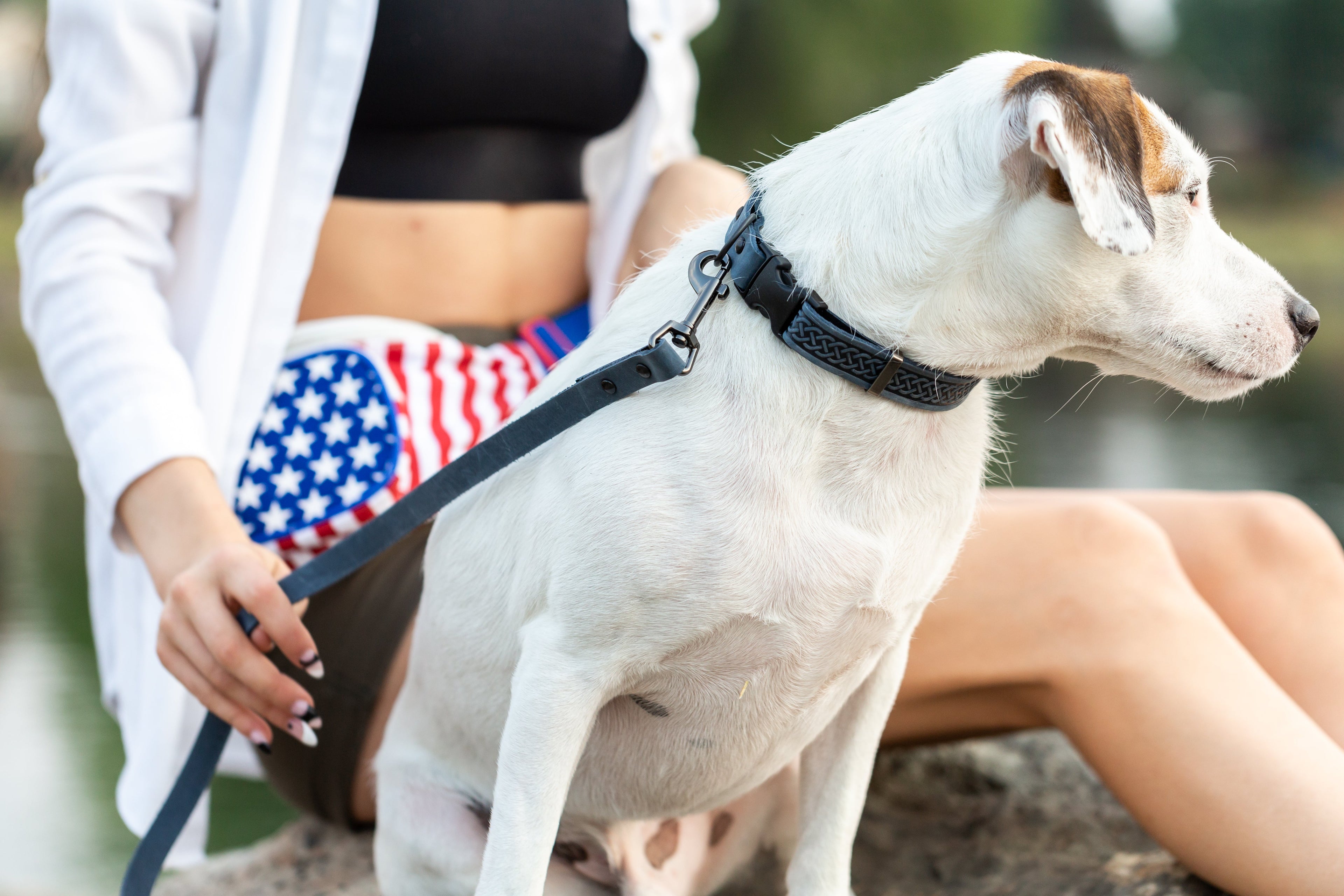 Blue leather dog collar with Celtic design by Euro-Dog, showcasing quality craftsmanship and adjustable size.