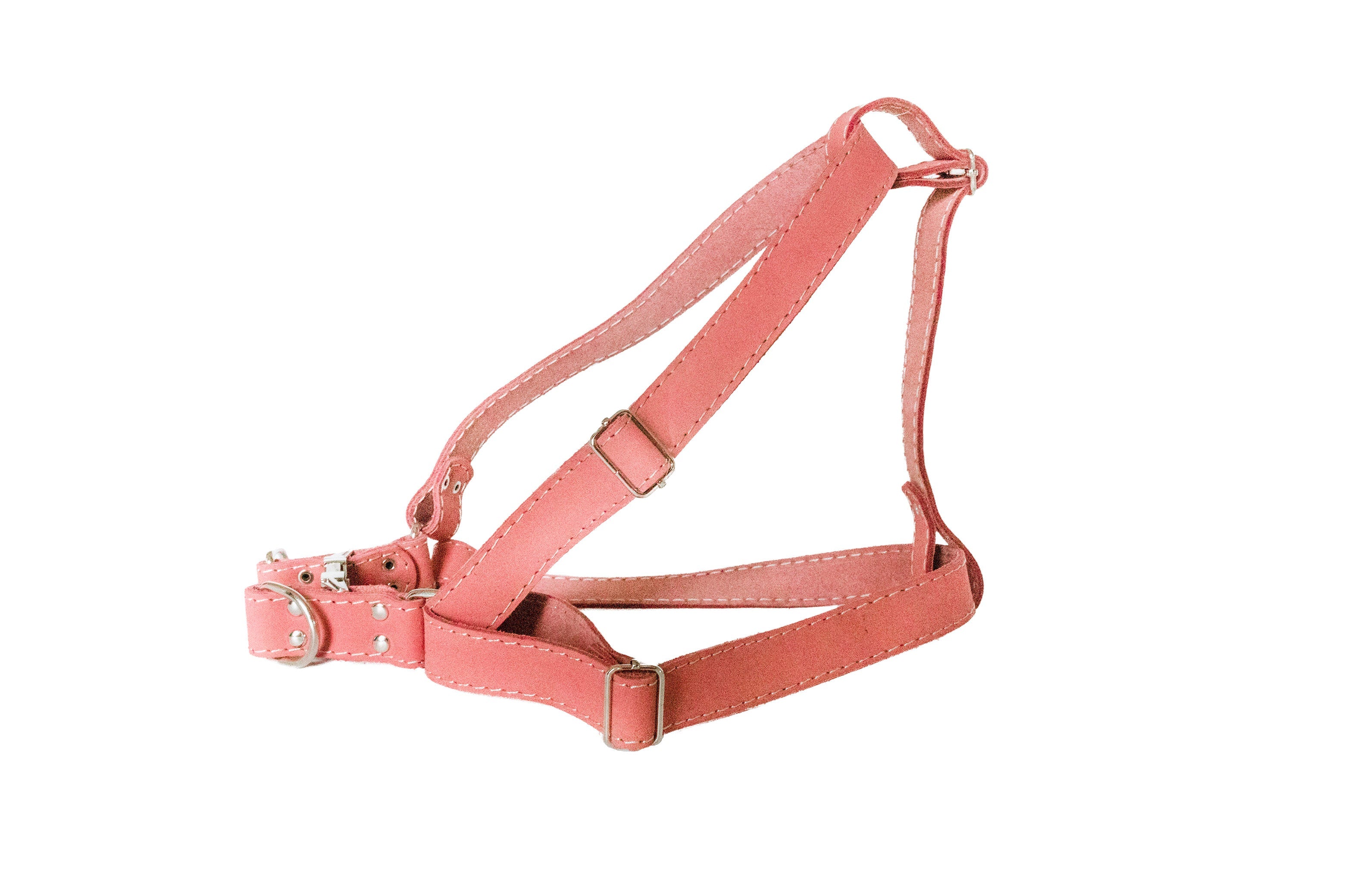 Coral leather dog harness by Euro-Dog Collars and Leads, step-in style, durable and comfortable for small and medium dogs.