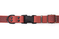 Euro-Dog Collars Celtic Sport Coral Reef leather dog collar with brass hardware on a white background.