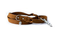 Pro Line Leather Braided Dog Leash - OVERLANDERS Outfitter