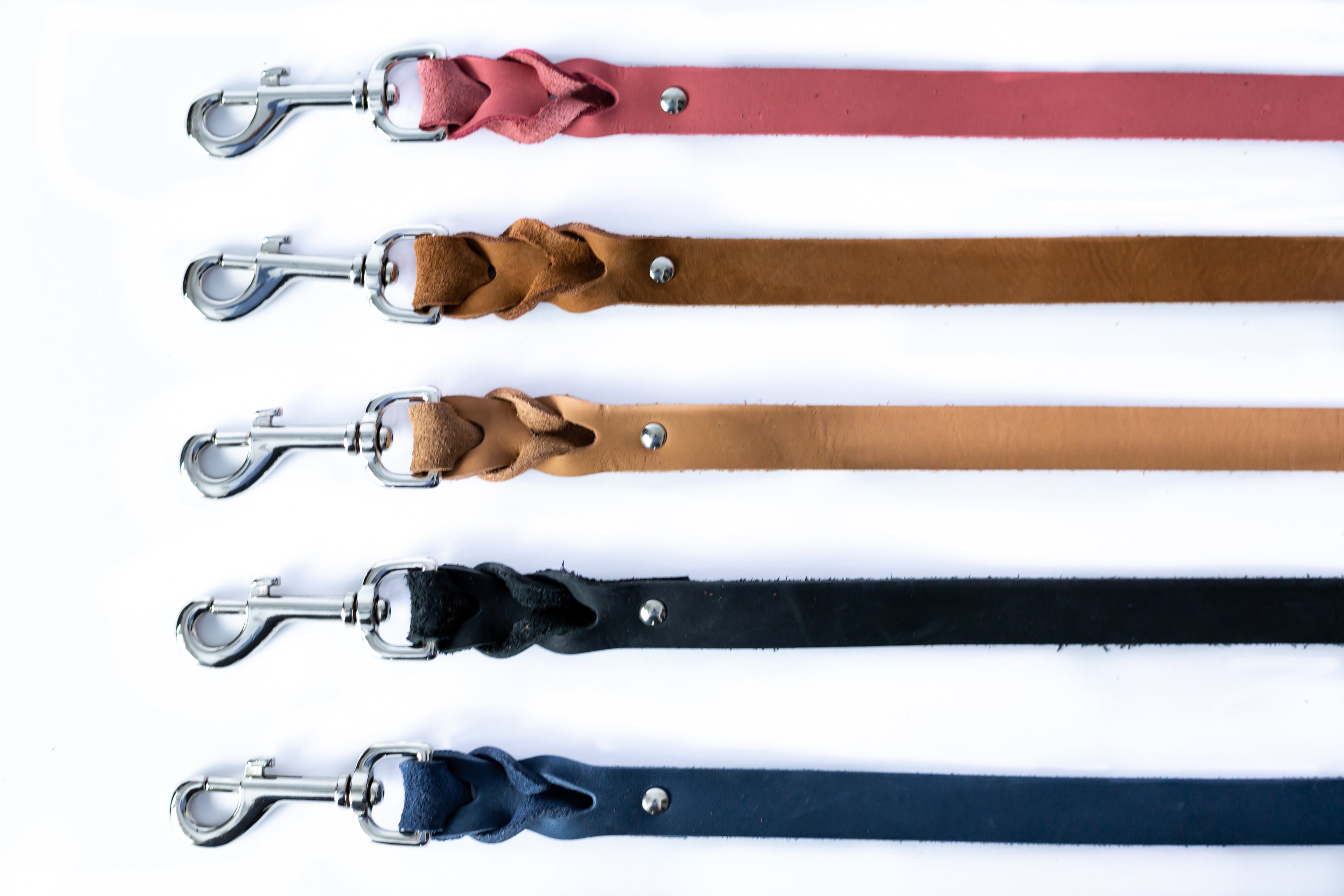 Pro Line Leather Braided Dog Leash - OVERLANDERS Outfitter