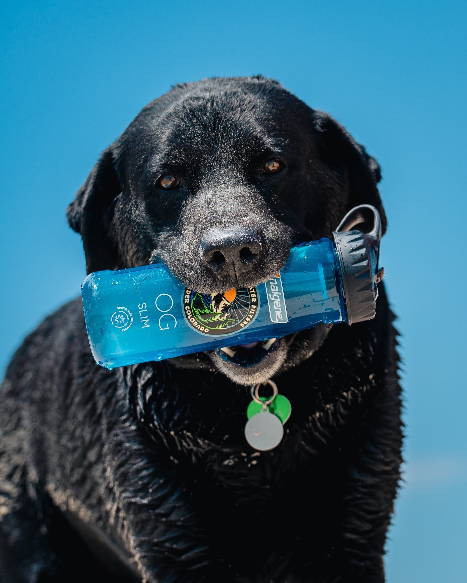 Nalgene OG Slim | 24 oz - OVERLANDERS Outfitter