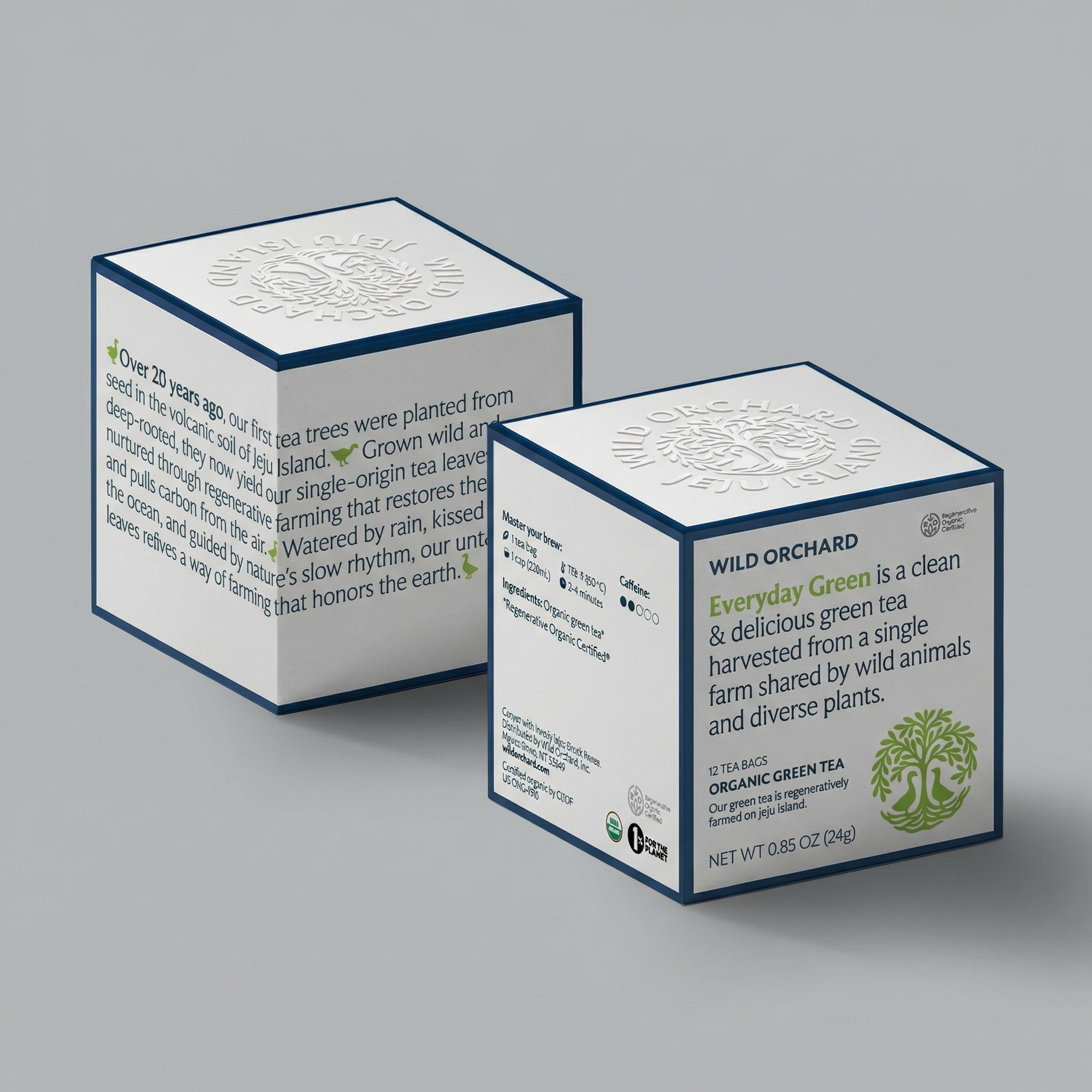 Box of Wild Orchard Everyday Green organic green tea bags with green and white packaging and tea bag illustrations on the front.