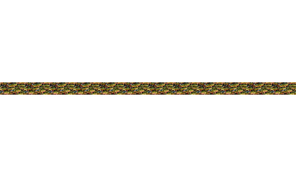Peacock Bass Dog Collar by Cognito Brands, Inc., featuring vibrant fin flank design, adjustable strap, and durable materials.