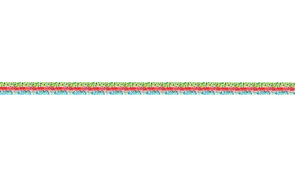 Rainbow#3 Trout Dog Leash - OVERLANDERS Outfitter