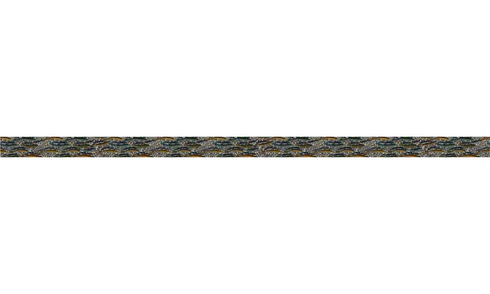 Trout Dreams Dog Leash - OVERLANDERS Outfitter
