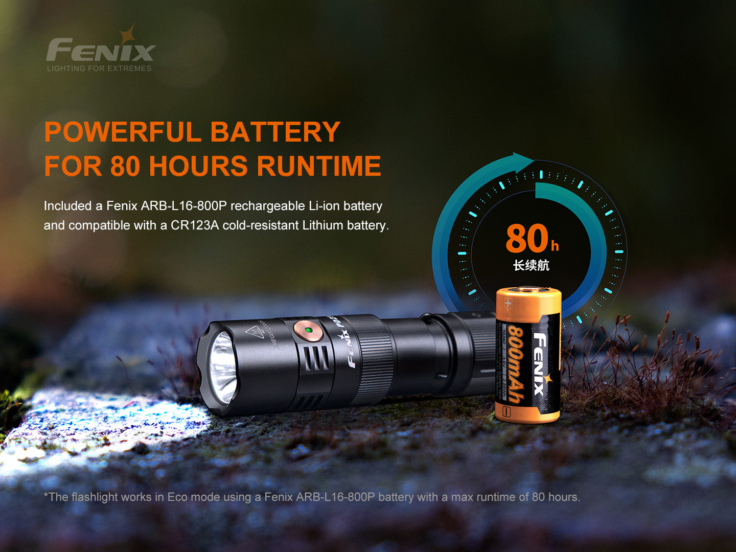Fenix PD25R rechargeable LED flashlight with compact design and battery, ideal for everyday carry use.