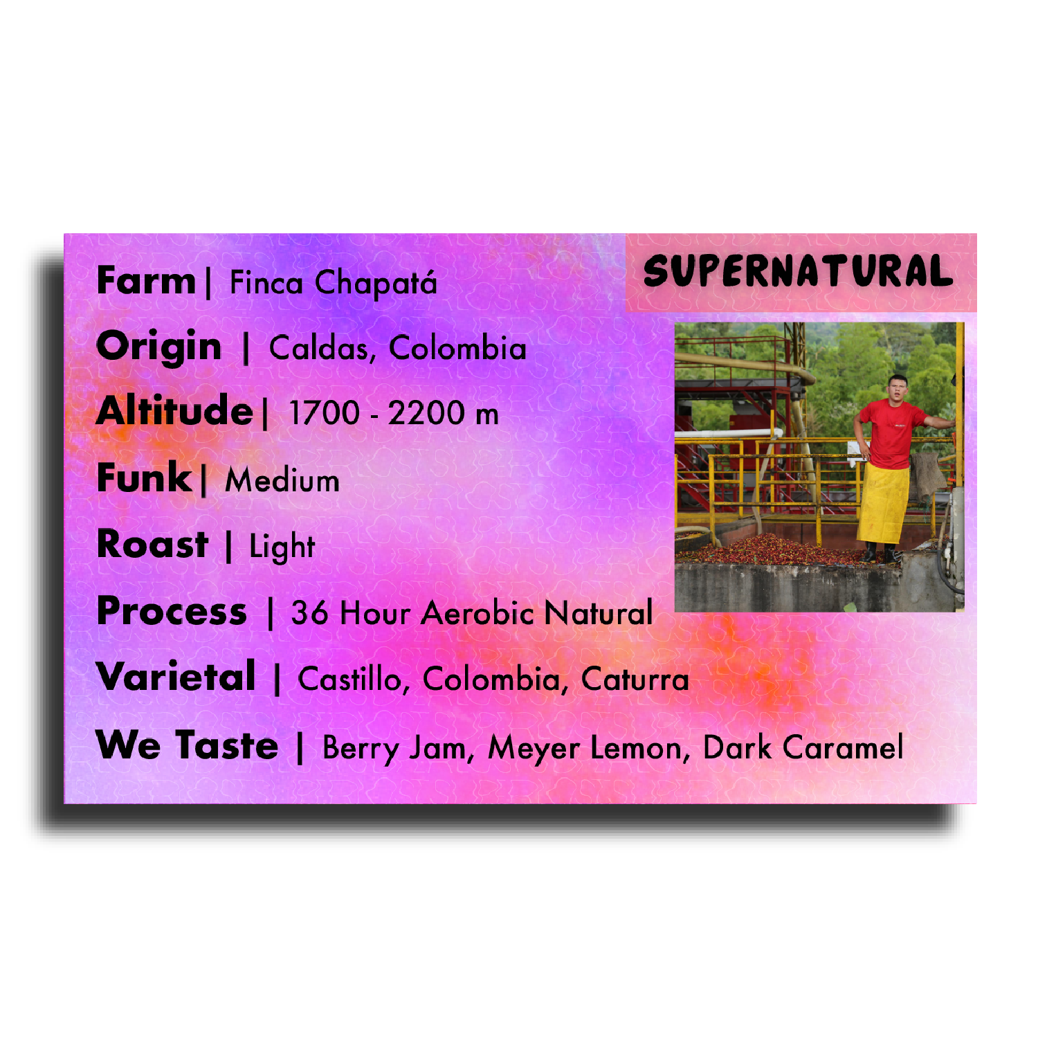 Supernatural - We The Collective