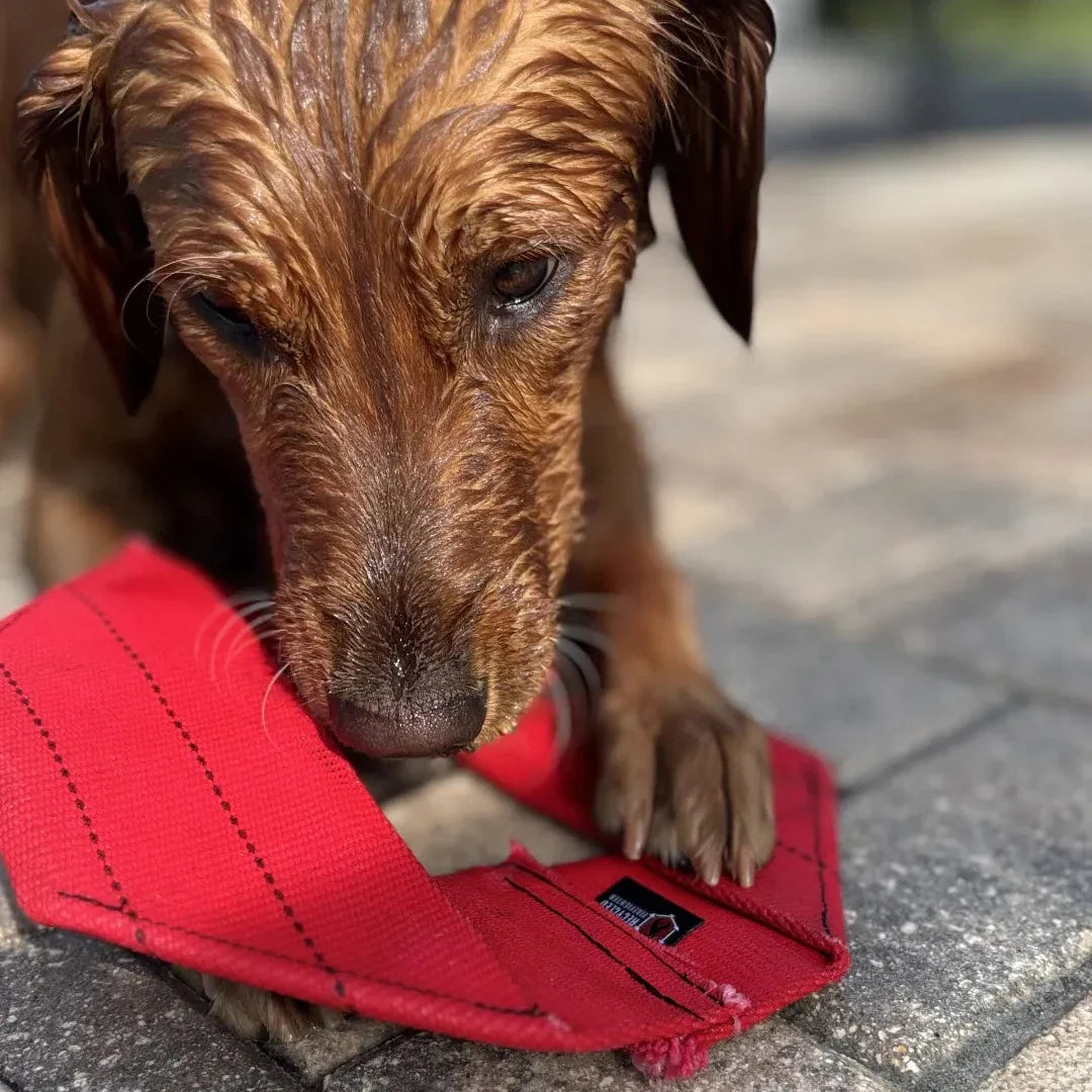 Recycled Firefighter fire hose dog frisbee toy for dogs, durable and flexible outdoor play fetch toy