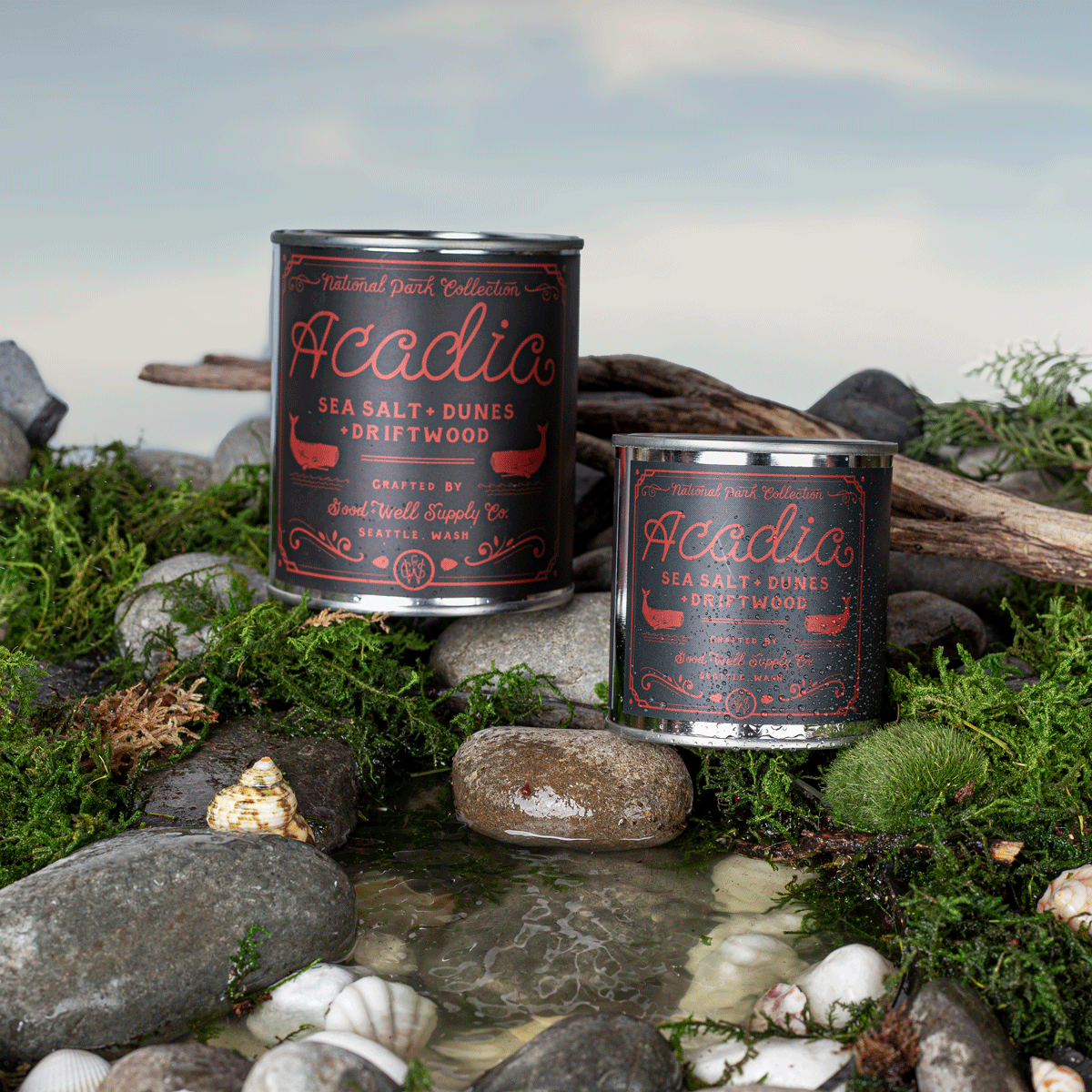 Acadia National Park Candle - We The Collective