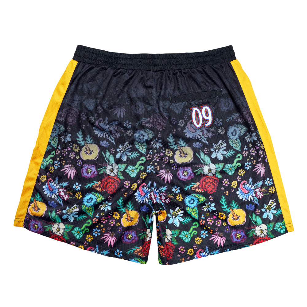Black mesh shorts by Grassroots California, Melty Bros apparel, featuring lightweight breathable fabric and casual style.