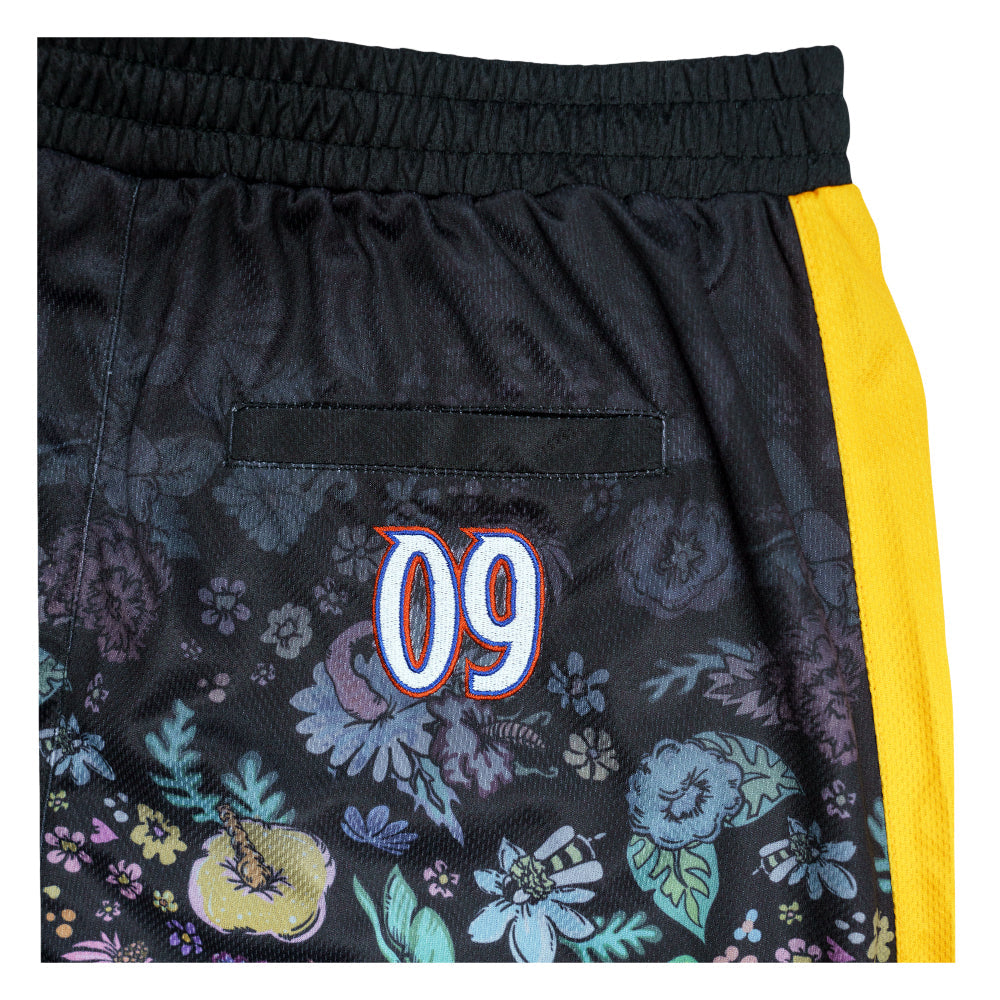 Black mesh shorts by Grassroots California, Melty Bros apparel, featuring lightweight breathable fabric and casual fit.