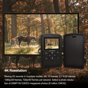 Rexing Woodlens H2 4K Wi-Fi Trail Camera (1 Pack) - OVERLANDERS Outfitter