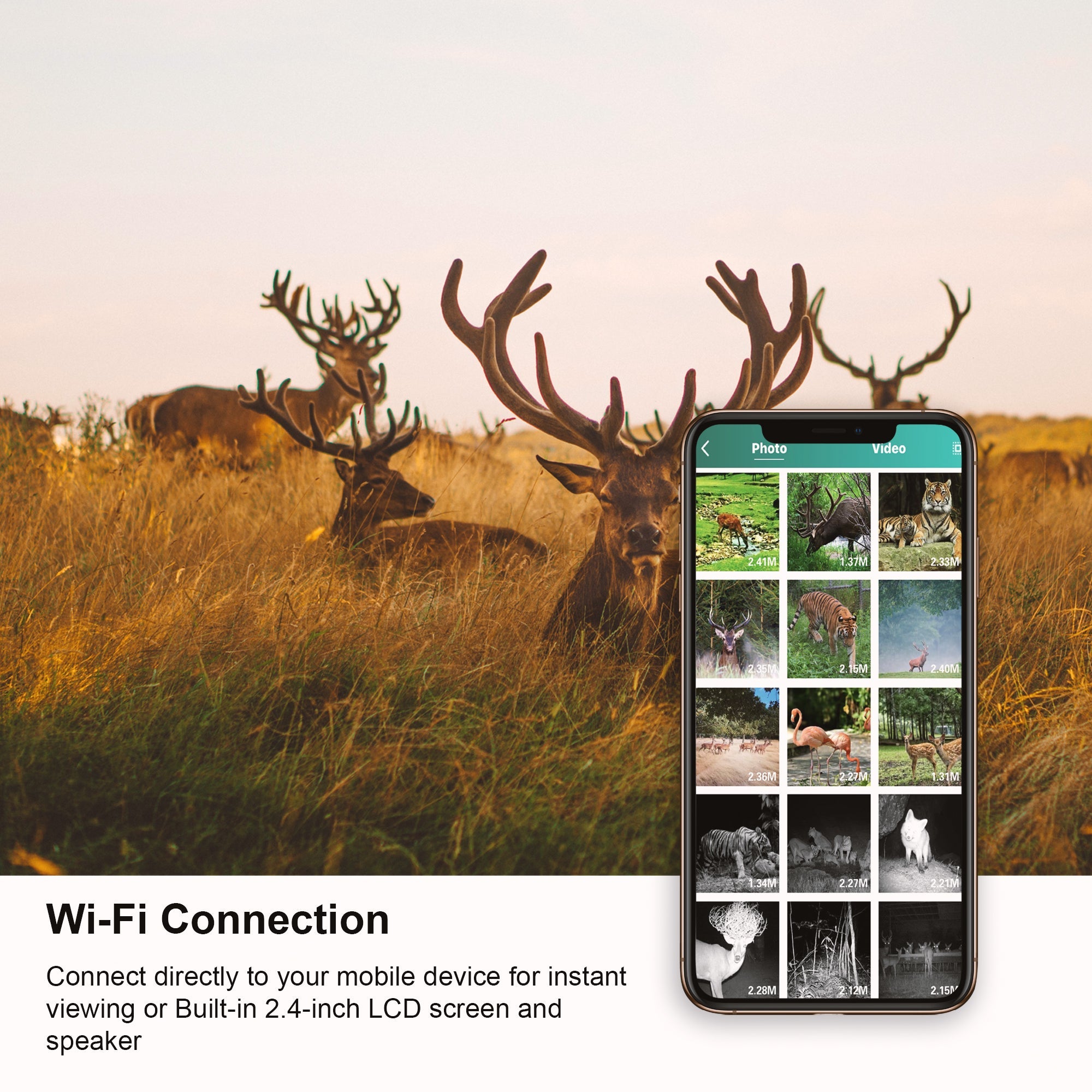 Rexing Woodlens H2 4K Wi-Fi Trail Camera (1 Pack) - OVERLANDERS Outfitter