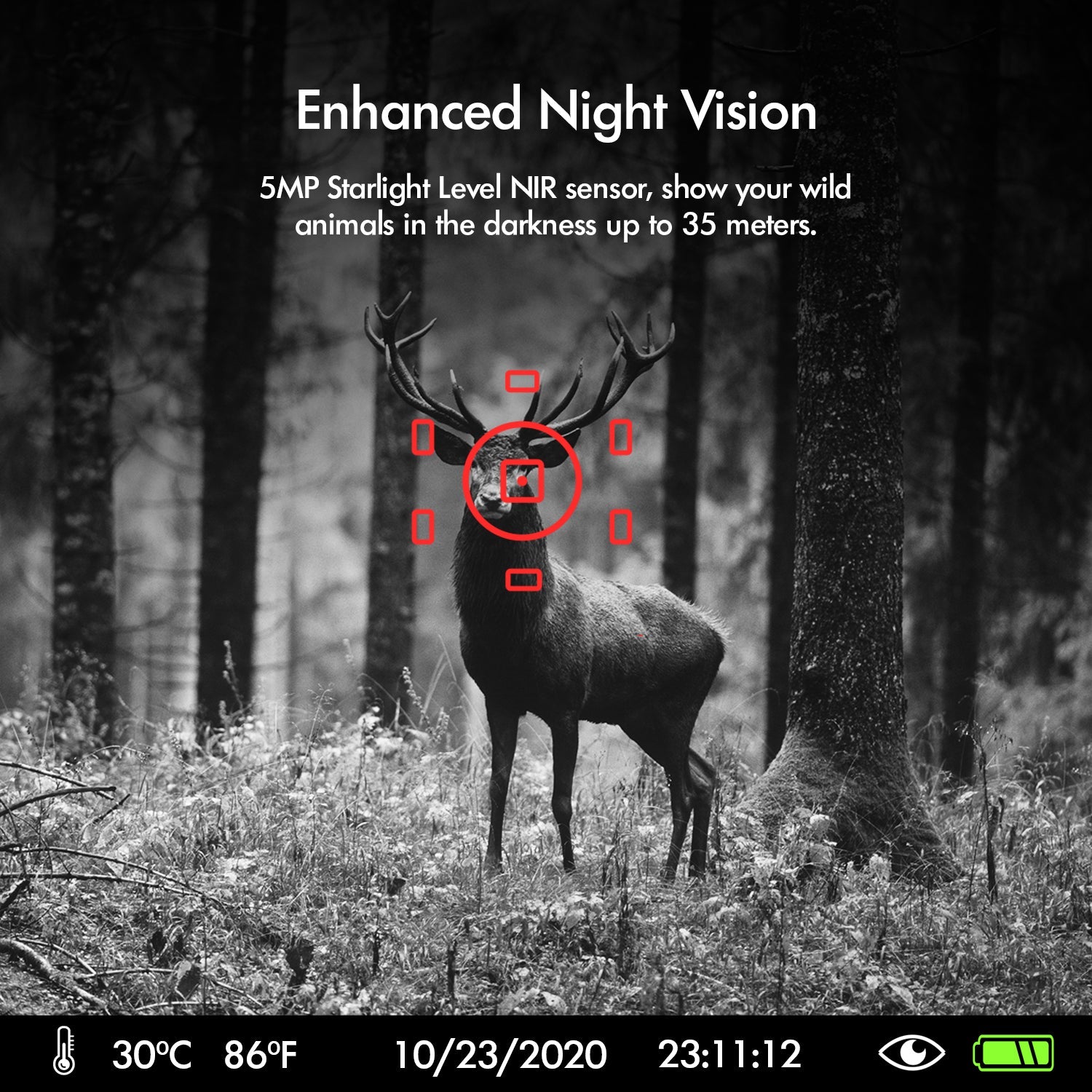 Rexing H3 Electronic Animal Caller Trail Cam 2.7K Video + 20MP Photo - OVERLANDERS Outfitter