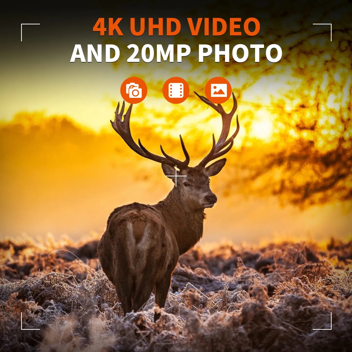 Rexing Woodlens H6 Dual Camera Trail Cam 4K+FHD Ultra HD Video - OVERLANDERS Outfitter