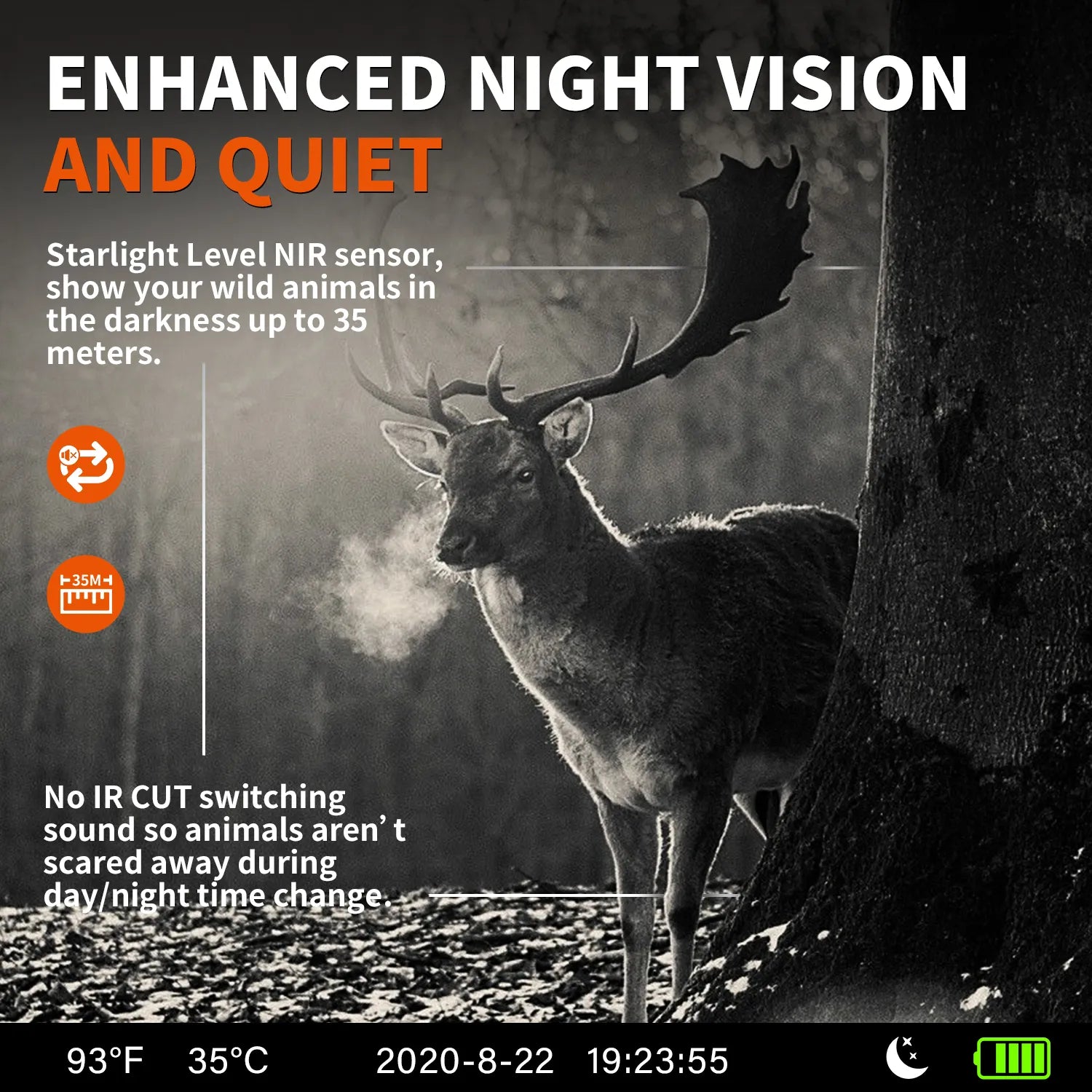 Rexing Woodlens H6 Dual Camera Trail Cam 4K+FHD Ultra HD Video - OVERLANDERS Outfitter