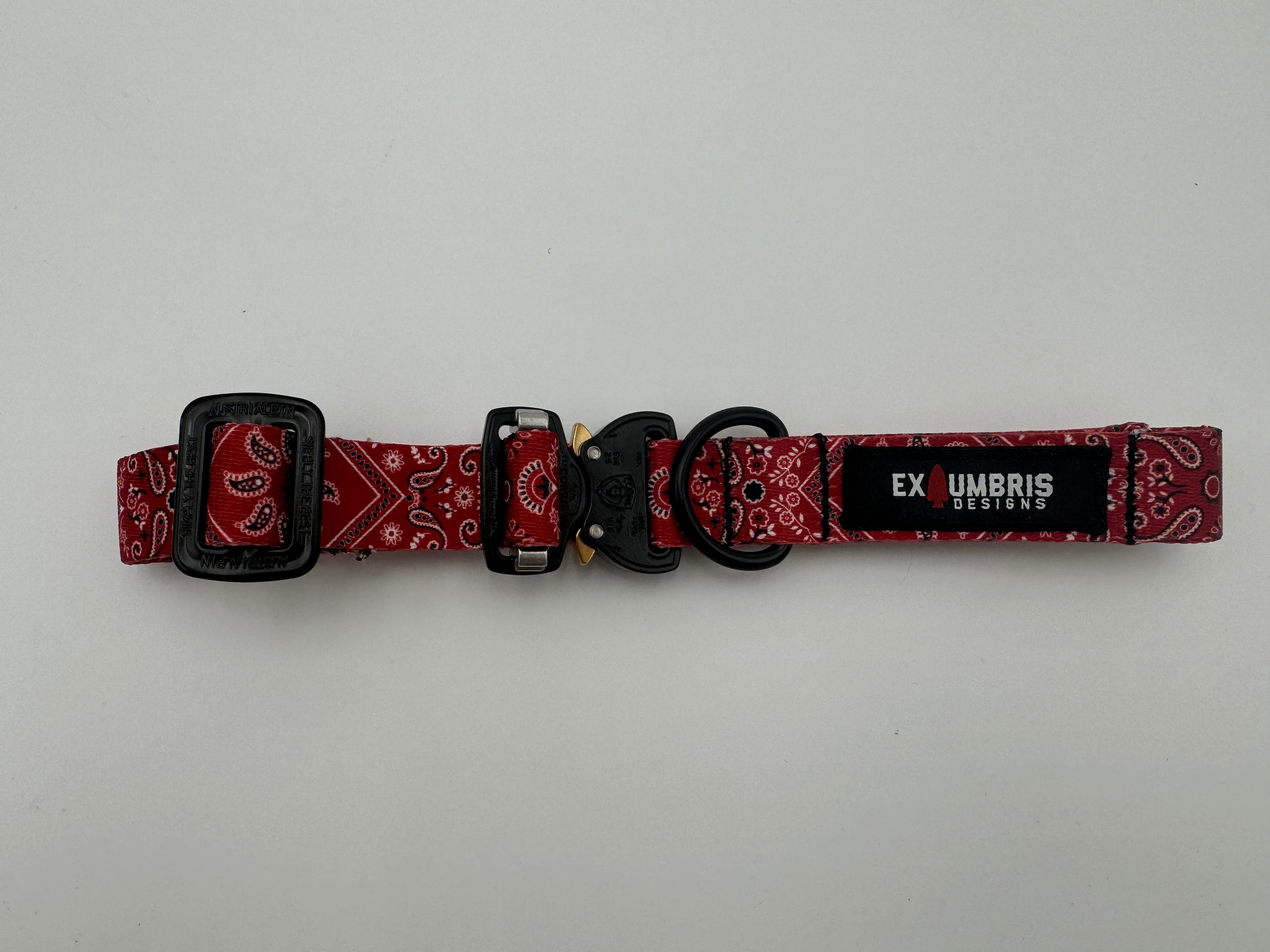 Cobra Buckle Dog Collar - OVERLANDERS Outfitter