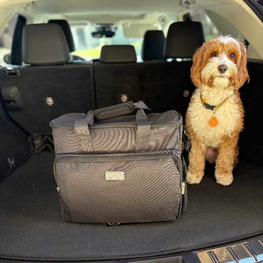 Entropy Survival Safe Pet Kit for disaster preparedness, featuring essential emergency supplies for pets in a compact kit.