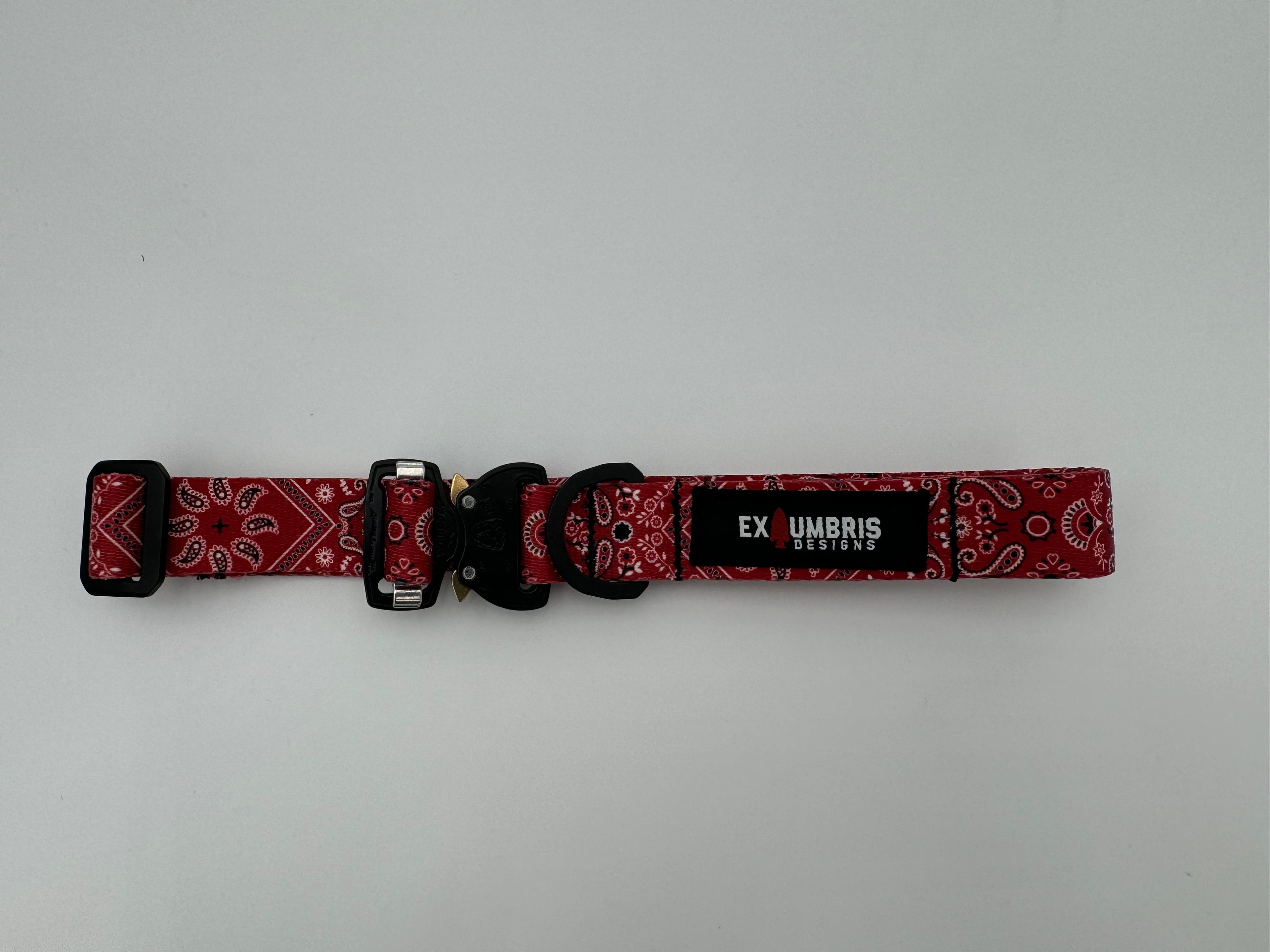 Cobra Buckle Dog Collar - OVERLANDERS Outfitter