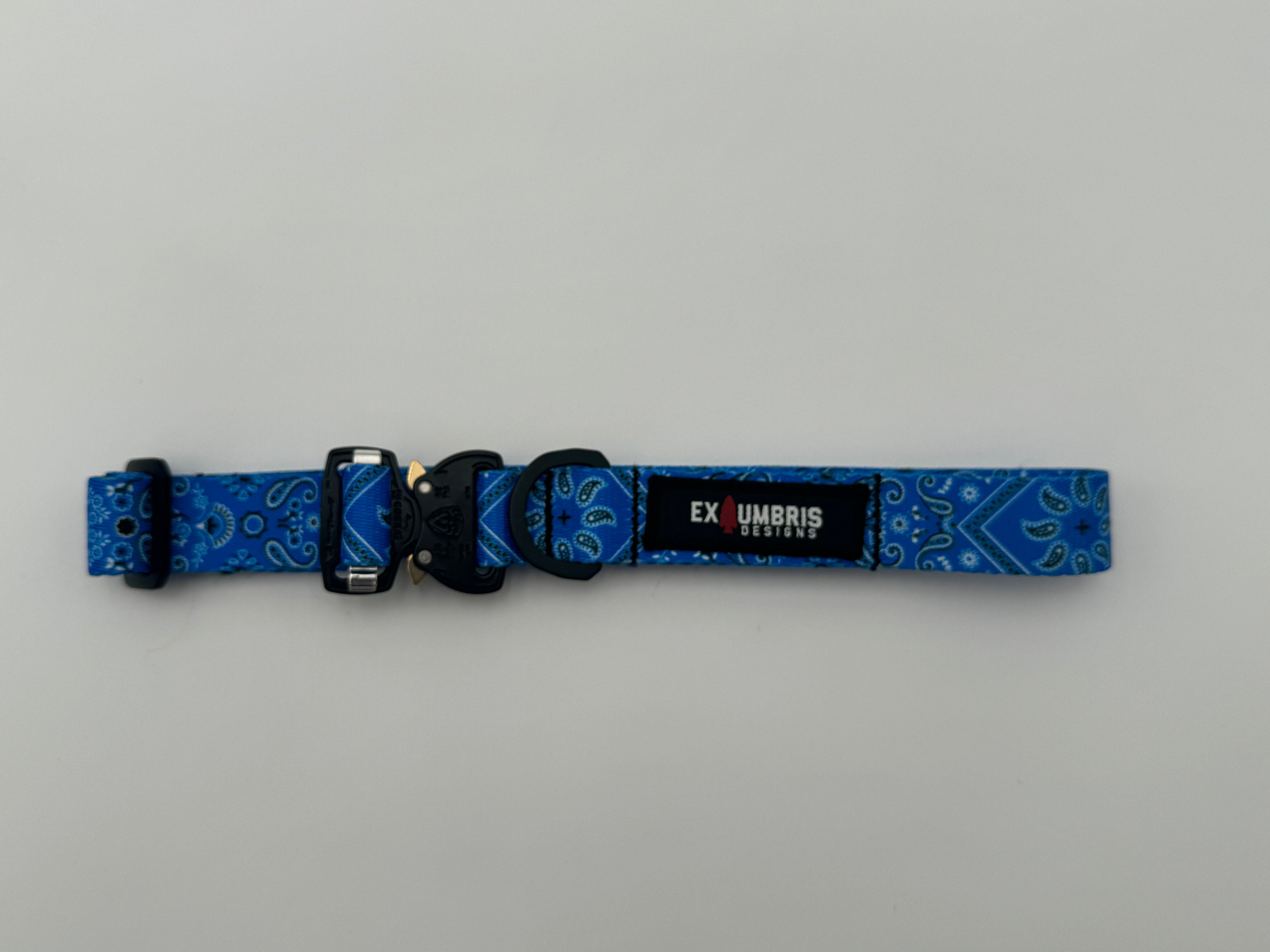 Cobra Buckle Dog Collar - OVERLANDERS Outfitter