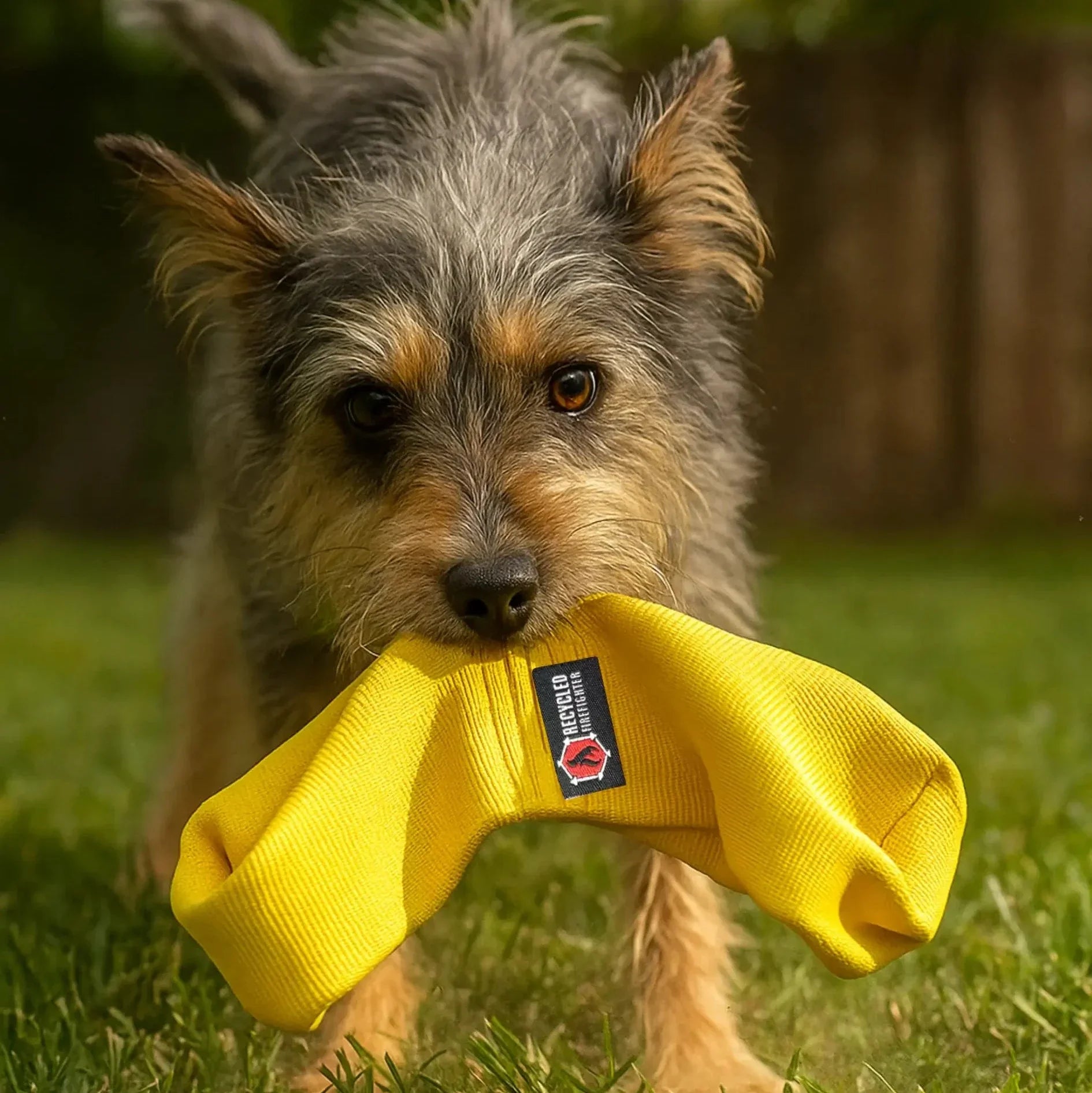 Recycled Firefighter JR Tugs-A-Lot double-loop firehose dog tug toy in yellow, durable and fun for active dogs.