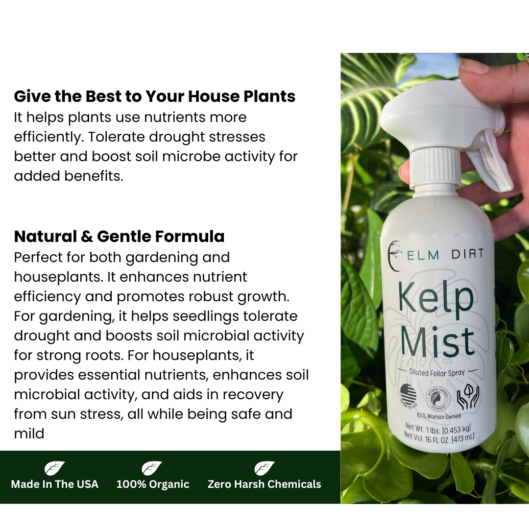 Kelp Mist Foliar Spray - OVERLANDERS Outfitter