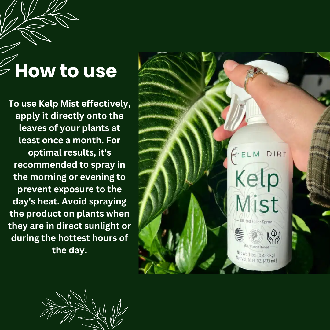 Kelp Mist Foliar Spray - OVERLANDERS Outfitter