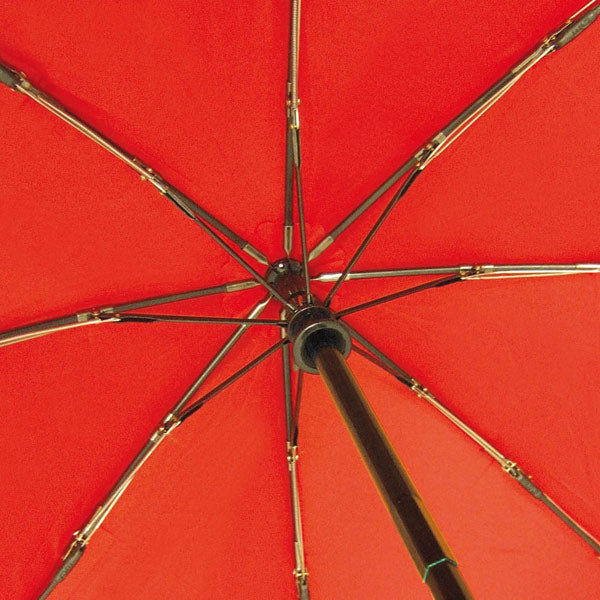 EuroSCHIRM USA Light Trek automatic umbrella with built-in LED torch, auto open/close, ideal for hiking in various weather conditions.