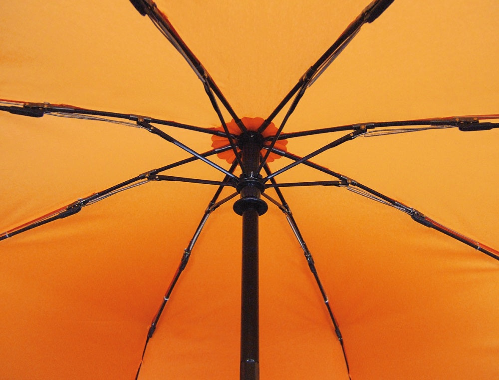 EuroSCHIRM USA Light Trek automatic hiking umbrella with windproof frame, floating compass, and backpack case, shown open in a hiking setting.