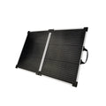 Lion Energy 100W LW Solar Panel 12V - We The Collective