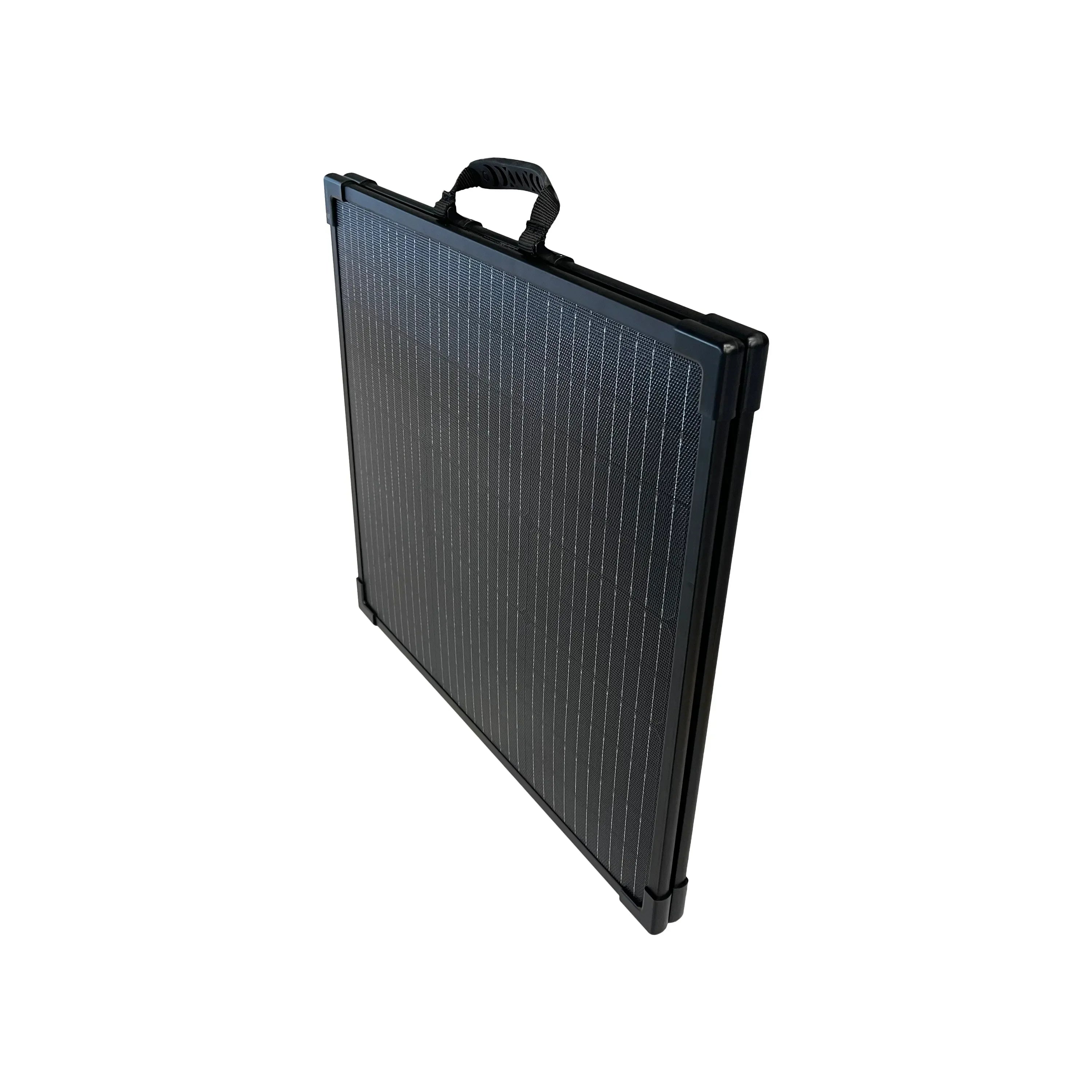 Lion Energy 100W LW Solar Panel 24V - We The Collective