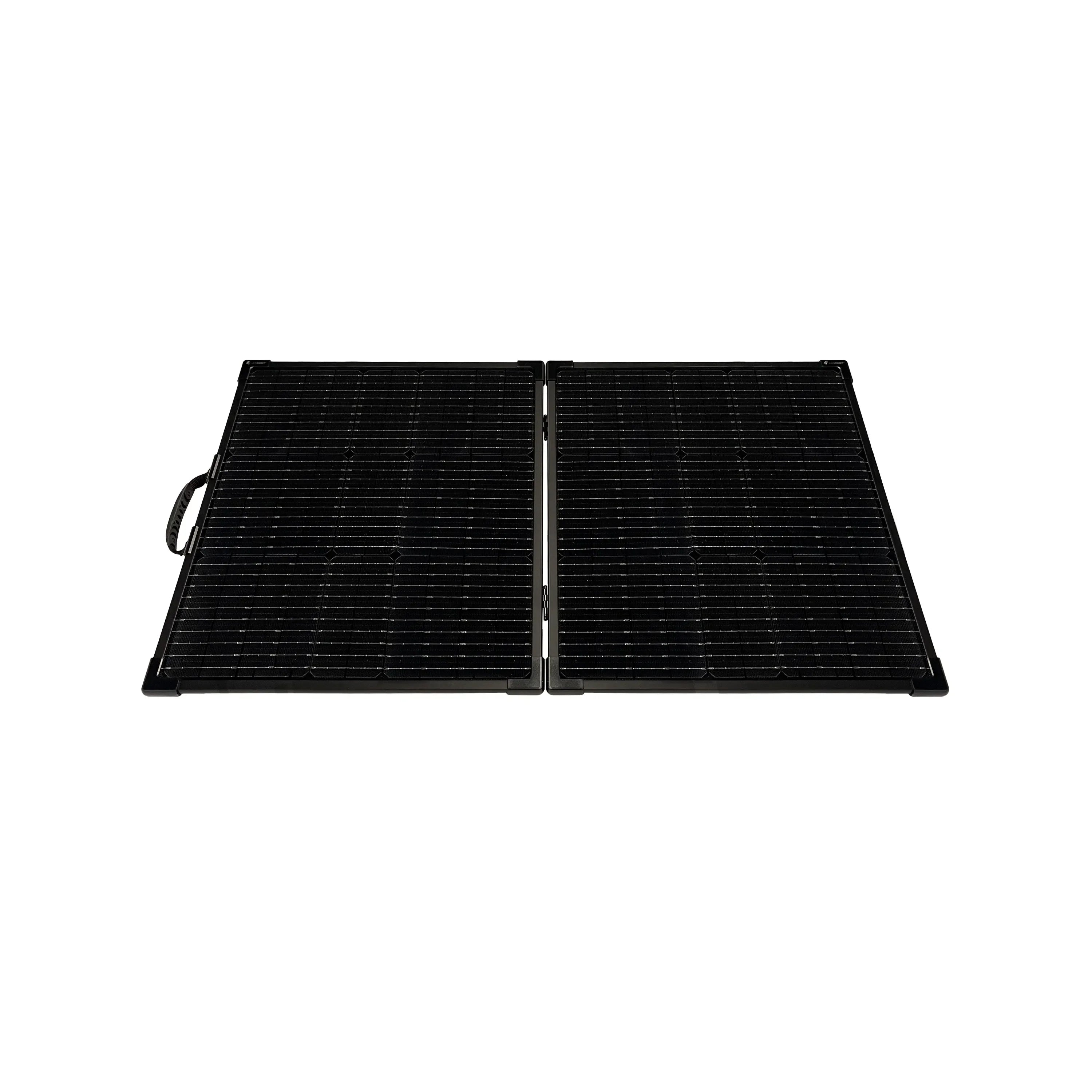 Lion Energy 100W LW Solar Panel 24V - We The Collective