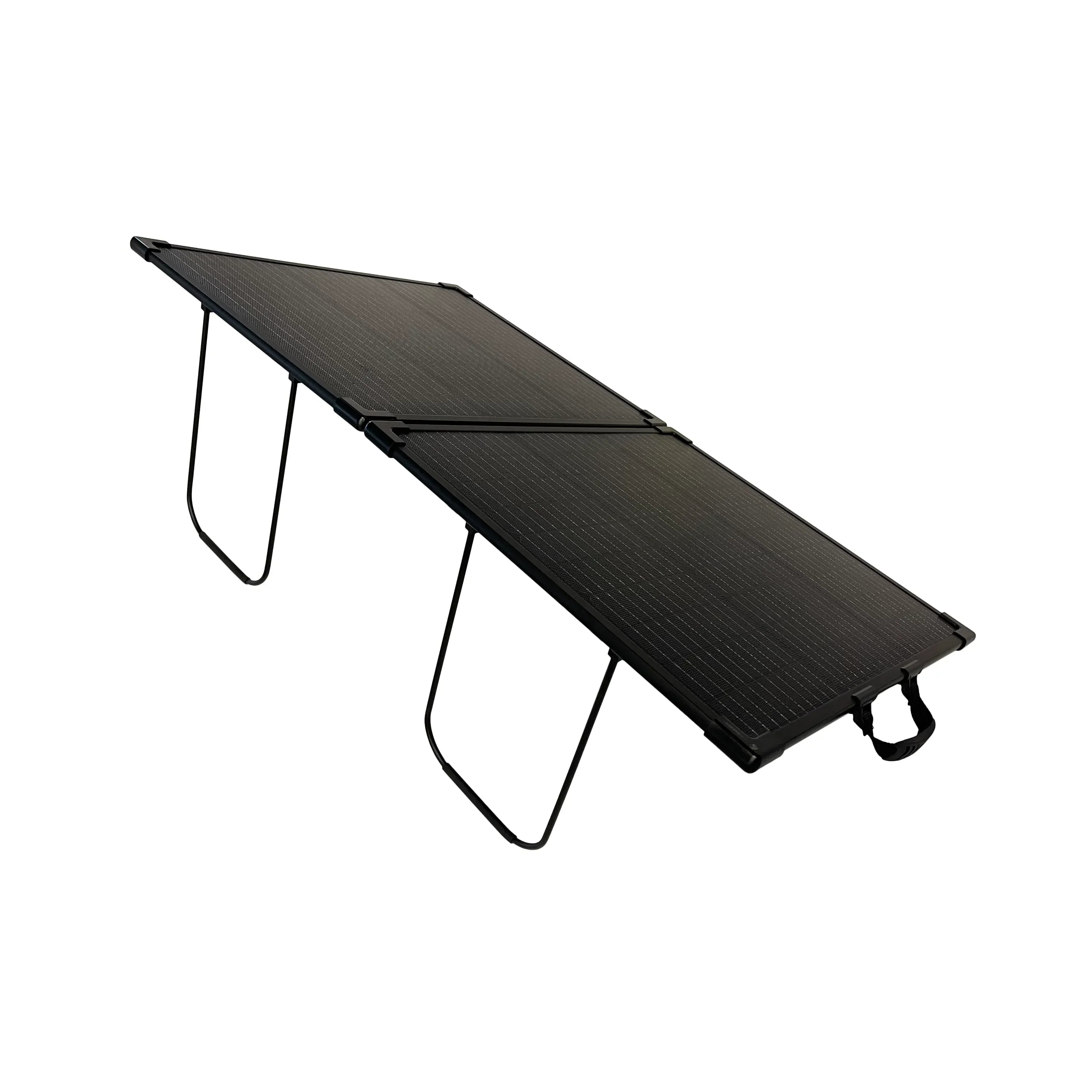 Lion Energy 100W LW Solar Panel 24V - We The Collective