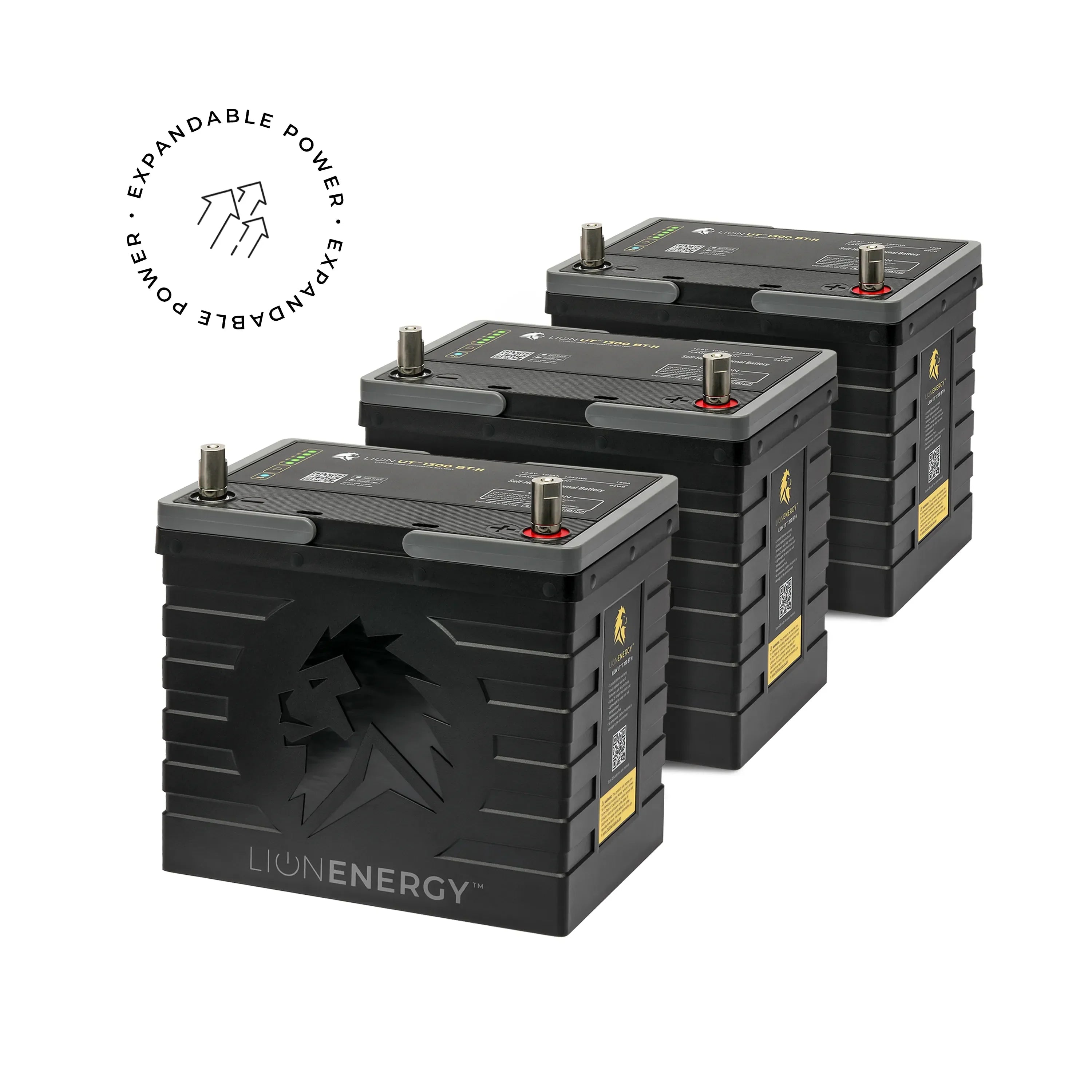 Lion Energy UT 1300 BT-H - We The Collective