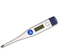 Digital Thermometer, 1 ea. - OVERLANDERS Outfitter