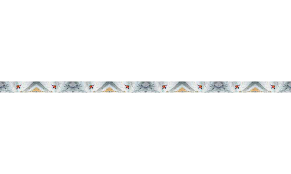 Mountaincognito Big Wall Dog Collar - OVERLANDERS Outfitter