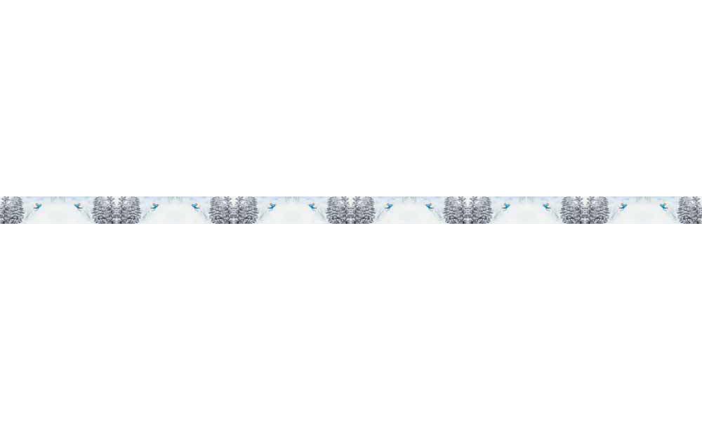 Mountaincognito Pow Dog Collar - OVERLANDERS Outfitter