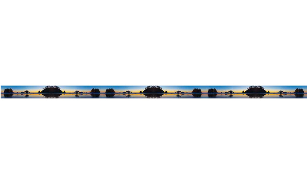 Mountaincognito Two Surfers Dog Leash - OVERLANDERS Outfitter