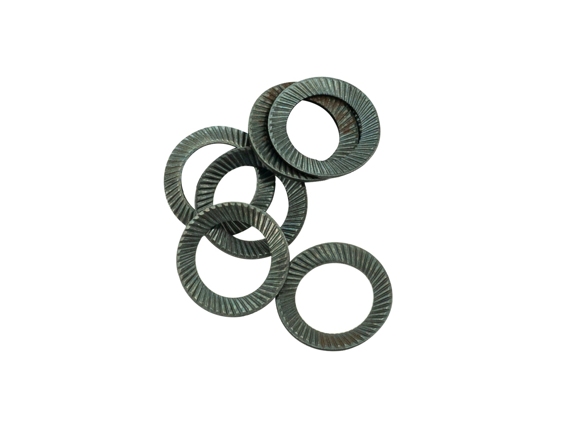 Set of six GoWesty serrated lock washers for axle bolts, showing the textured, circular washers designed for secure fastening.