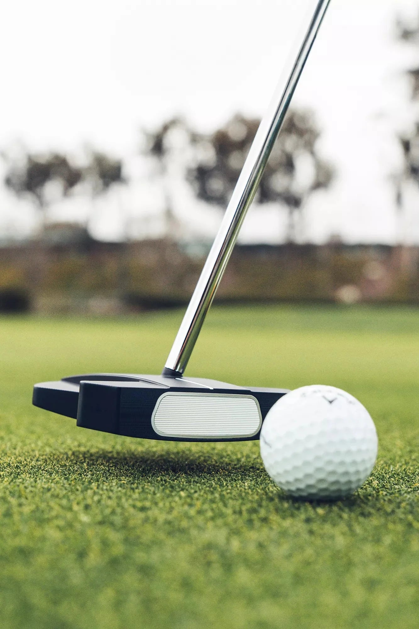 Odyssey Ai-One Square 2 Square Max 1 Putter - OVERLANDERS Outfitter