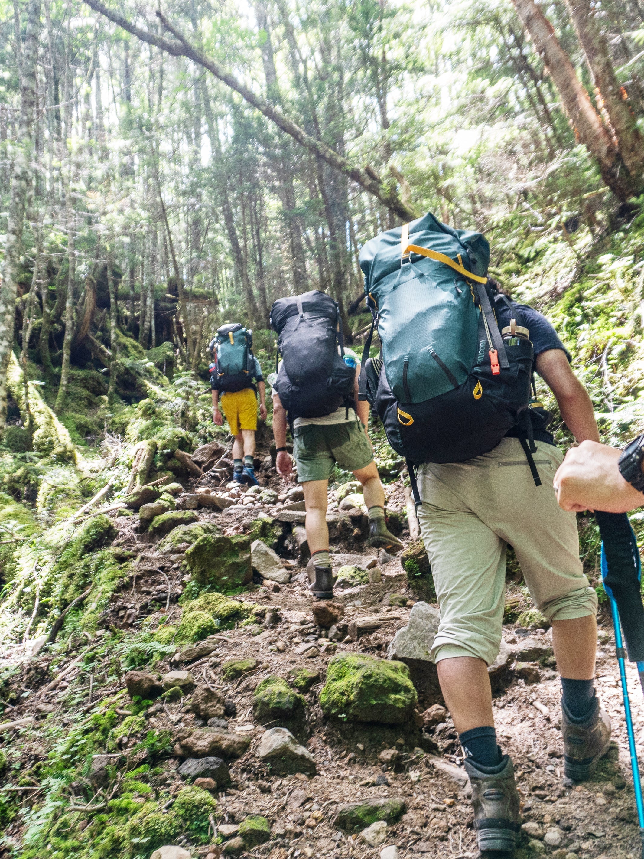 Pingora Outro 40 Backpacking Pack - OVERLANDERS Outfitter
