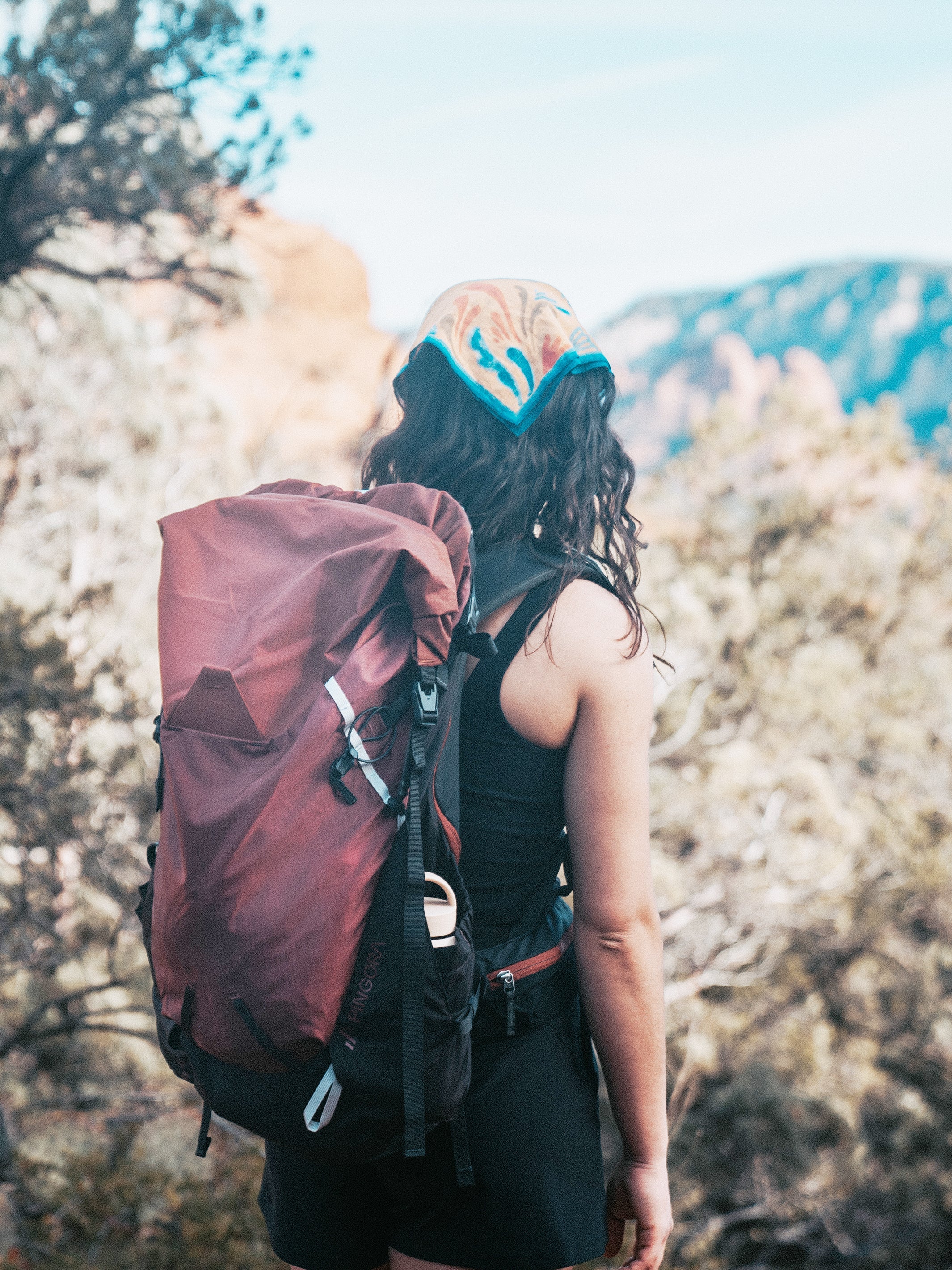 Pingora Outro 40 Backpacking Pack - OVERLANDERS Outfitter
