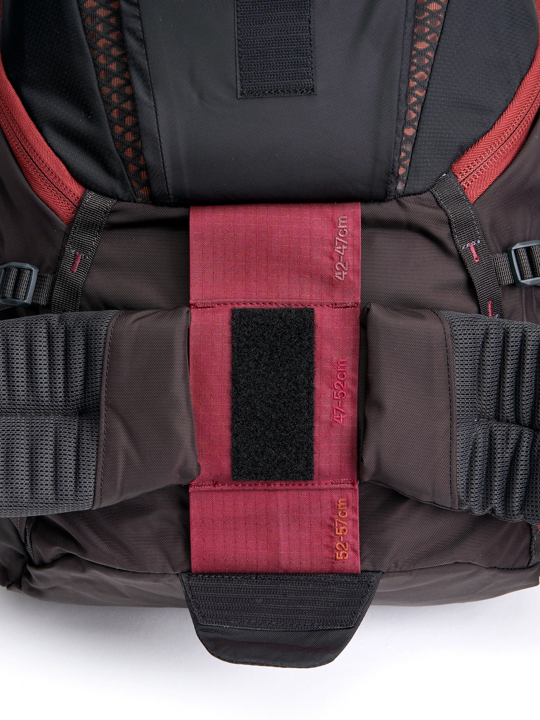 Pingora Outro Backpacking Hip Belt - OVERLANDERS Outfitter